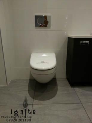 Toilet Repairs & Replacements In Hamilton, Lanarkshire & Glasgow